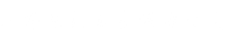 上海思成商务调查公司